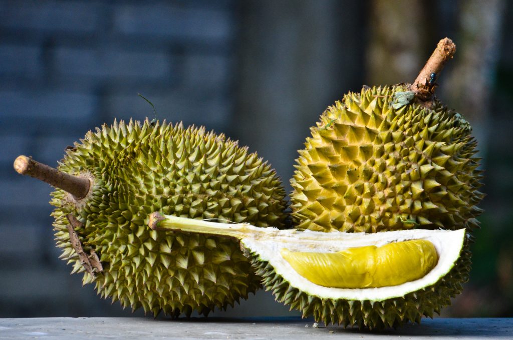 jenis durian unggul - durian musang king