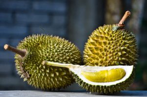 jenis-durian-musang-king