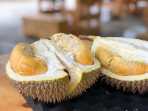 durian aroma medan