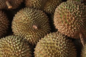 mitos buah durian - Aroma Medan