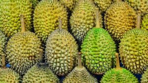 Kandungan Buah Durian dan Manfaatnya