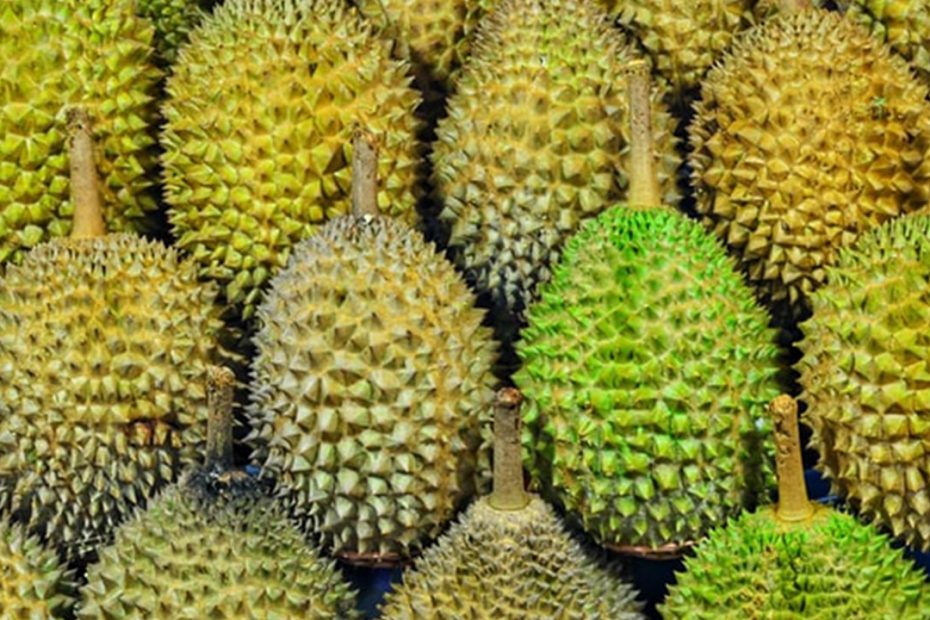 Kandungan Buah Durian dan Manfaatnya