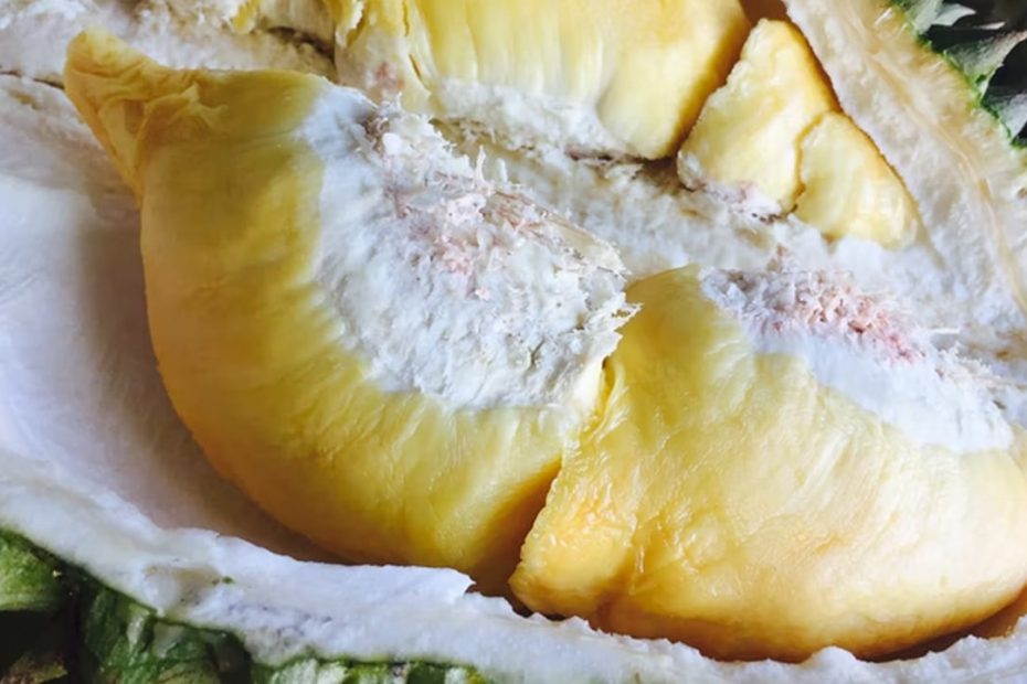 cara menyimpan durian kupas
