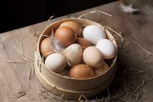 Akhirnya Terungkap! Telur Omega vs Telur Kampung: Mana yang Lebih Baik?