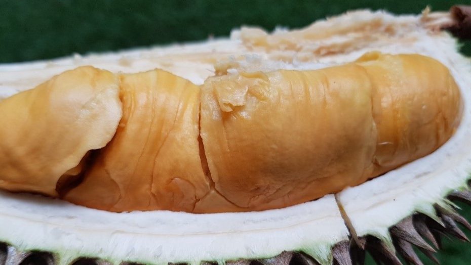 Wajib Tahu! Ini 3 Keunggulan Durian Masmuar yang Bikin Pecinta Durian Ketagihan