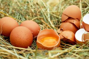 Menguak Fakta: Apakah Telur Omega Bisa Dimakan Mentah? Ini Penjelasannya!