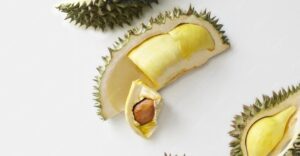 Ngga Nyangka! Biji Durian Bukan Sampah, Ini Dia 5 Khasiat Biji Durian Rebus untuk Kesehatan