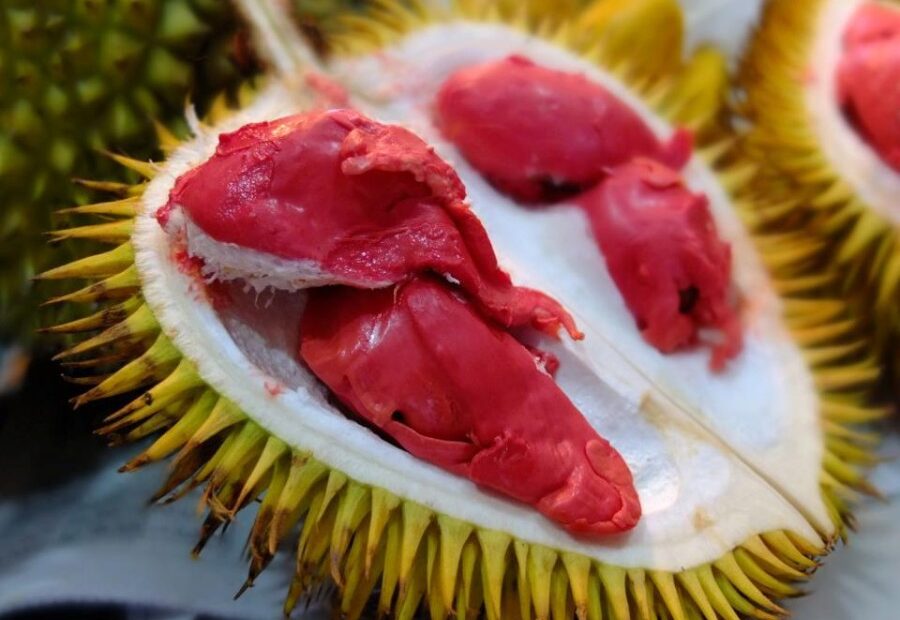 Durian Merah: Buah Langka dan Fakta yang Belum Kamu Ketahui!