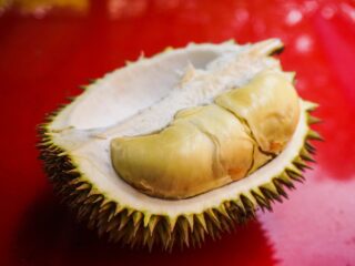 Durian Otong: Si Raja Durian yang Wajib Kamu Nikmati!