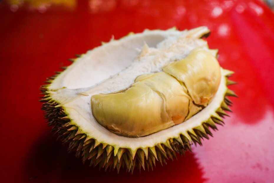 Durian Otong: Si Raja Durian yang Wajib Kamu Nikmati! - Aroma Medan