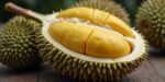 Durian Petruk: Kelezatan Asli Indonesia yang Jarang Diketahui!