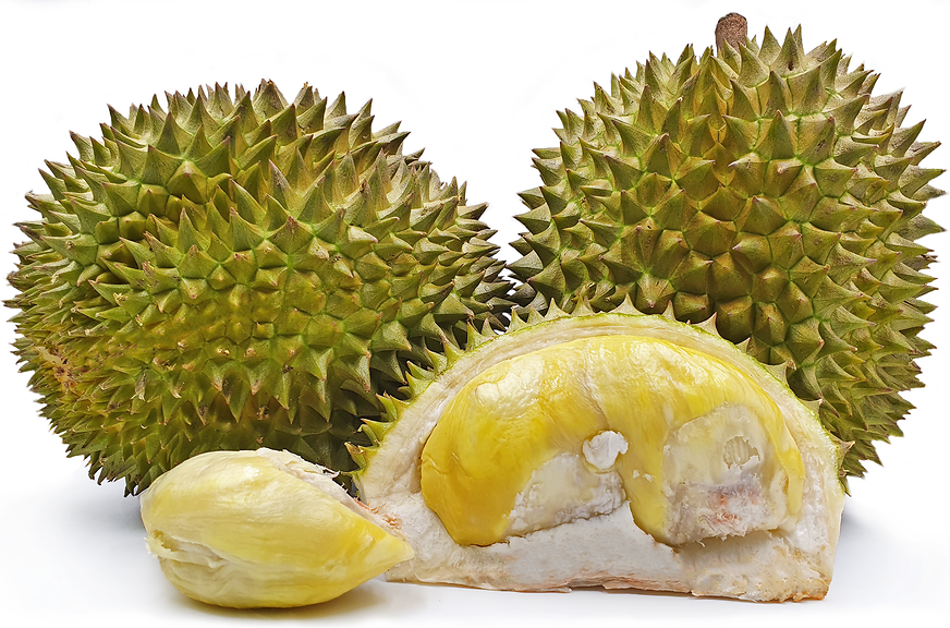 Durian Matahari: Si Manis yang Berkilau dan Memikat Para Pecinta Durian!