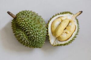 Wajib Tahu! Perbedaan Durian Matahari vs Musang King: Asal, Ciri Pohon, Daun dan Harga