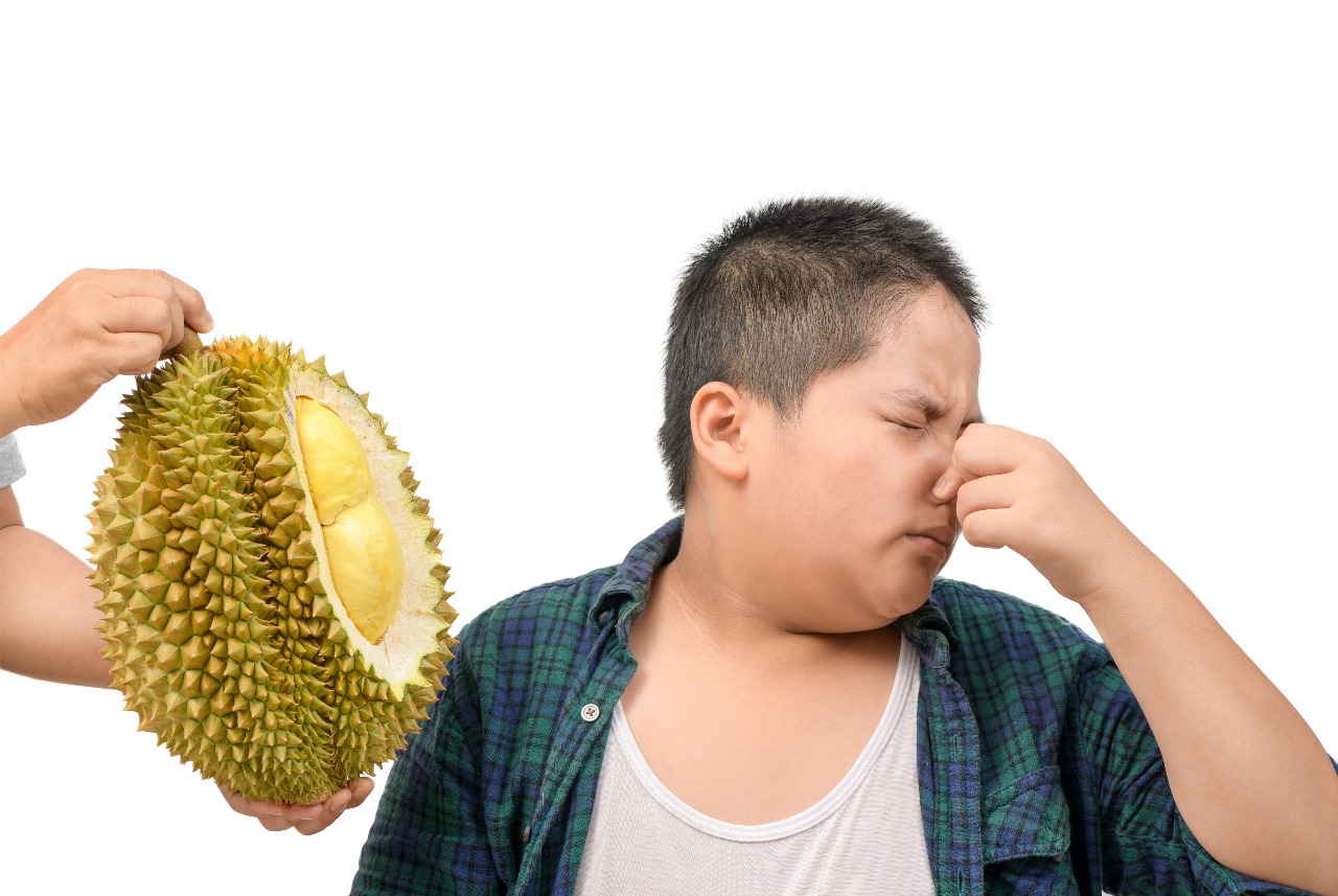 gasuka durian