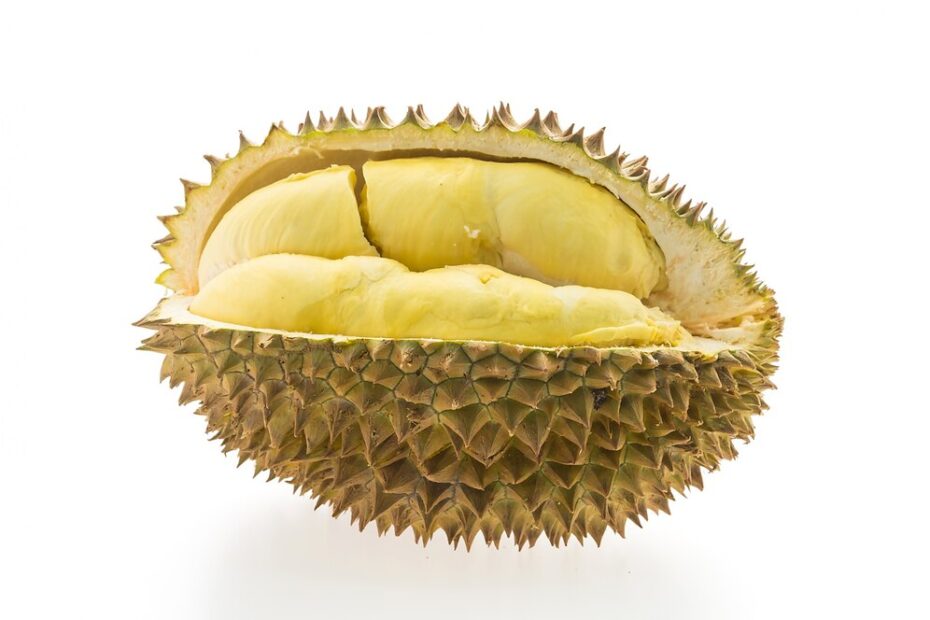 Buah Durian Bisa Menyembuhkan Penyakit Apa Saja? Simak Jawabannya Disini!