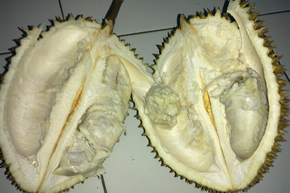 Manfaat Durian Mentah untuk Tubuh Sehat, Nomor 5 Nggak Pernah Kamu Sangka!